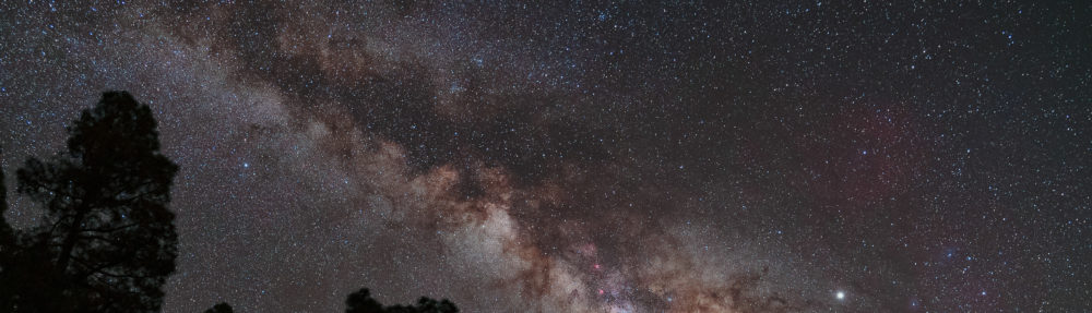 Stellar Physics at Paris Observatory